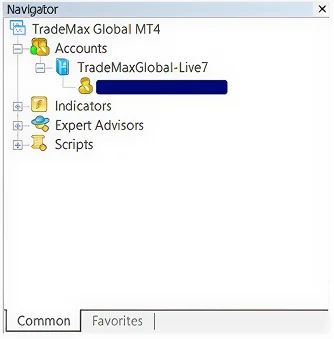 TRADEMAX Global MetaTrader 4 (MT4) navigator window showing accounts, indicators, expert advisors, and scripts