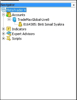MetaTrader 4 (MT4) navigator window showing accounts, indicators, expert advisors, and scripts folders