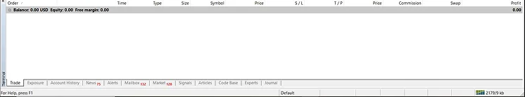 Forex MetaTrader 4 (MT4) trading platform interface showing order details, balance, and various tabs for market analysis