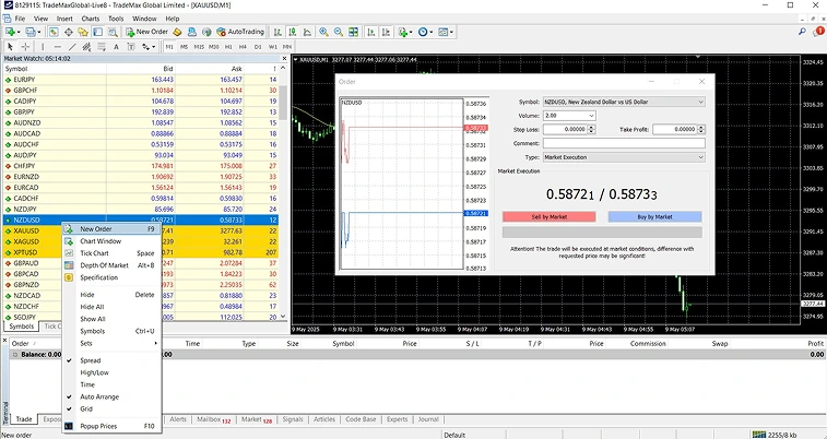Forex MetaTrader 4 (MT4) trading platform interface with currency pairs, charts, and order execution window