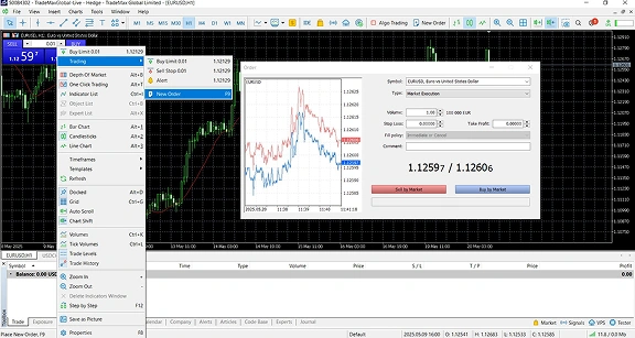 Trading platform interface with forex charts, market watch, and order window