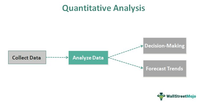 quantitative analysis metrics: earnings, revenue growth, ROE, ROA, EPS