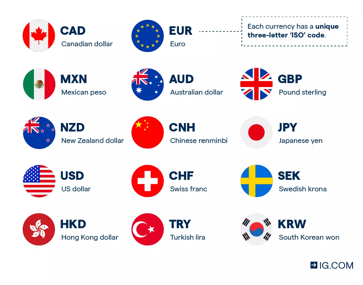 Bonds versus stocks illustration during bear market conditions