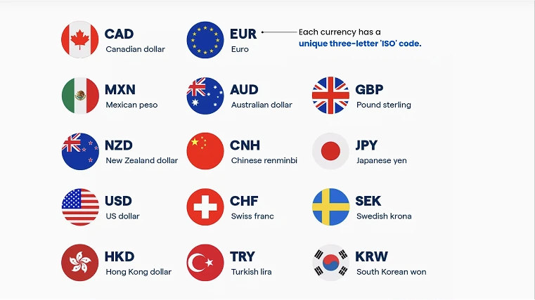 อินโฟกราฟิกแสดงสกุลเงินหลักของโลกและรหัส ISO รวมถึง USD, EUR, GBP และ JPY ที่ใช้ในการเทรดฟอเร็กซ์และตลาดฟอเร็กซ์