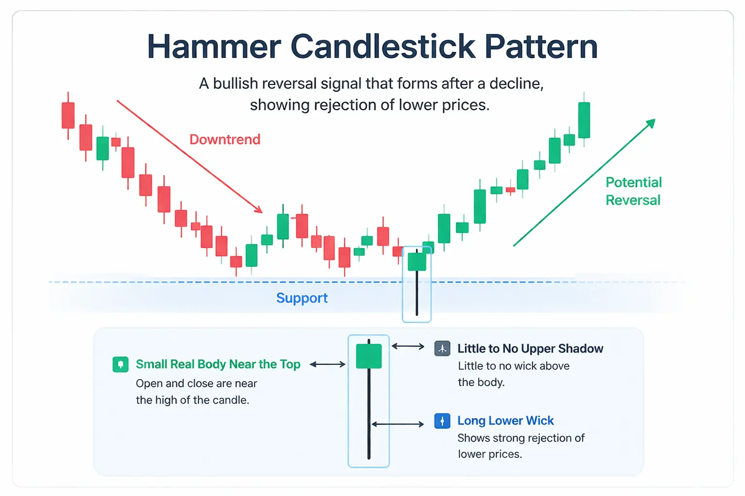 Hammer candlestick pattern chart by TMGM Academy showing a bullish reversal after a downtrend, with a small real body near the top and a long lower wick at support.